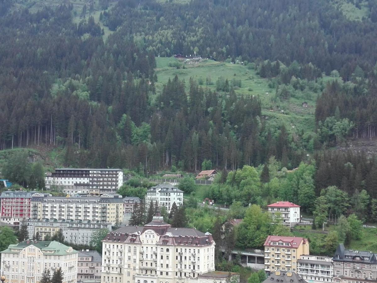 Apartment "Das Schillers Spa" Bad Gastein Exterior foto